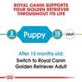 ROYAL CANIN GOLDEN RETRIEVER JUNIOR 12K XIRA TROFI SKuLOu